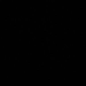 Meet your Posher, Ingrid